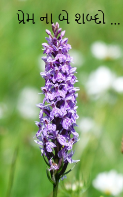 પ્રેમના બે શબ્દો