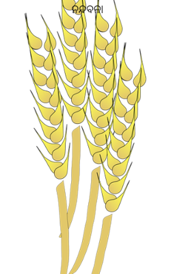 ନନ୍ଦବଳା