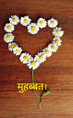 मुहब्बत।