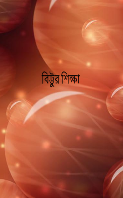 বিট্টুর শিক্ষা