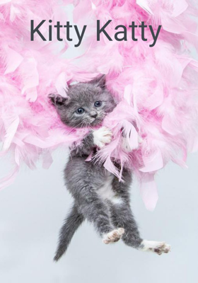 Kitty Katty 