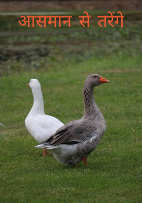 आसमान से तरंगें