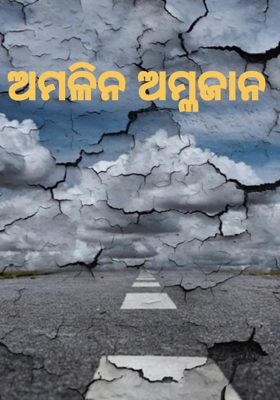 ଅମଳିନ ଅମ୍ଳଜାନ