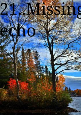 Prompt 21..Missing Echo