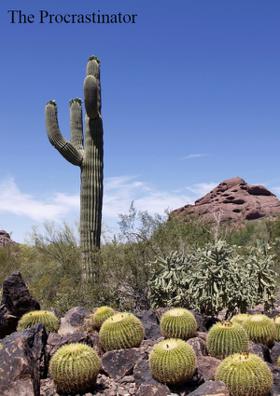 The Procrastinator