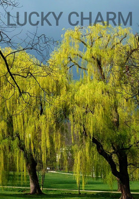 LUCKY CHARM