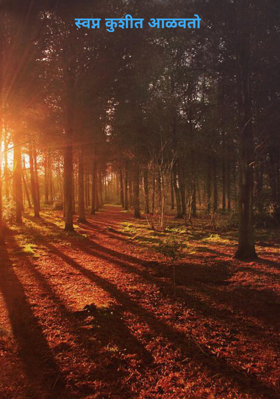 स्वप्न कुशीत आळवतो