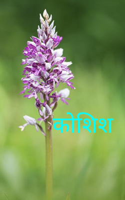कोशिश