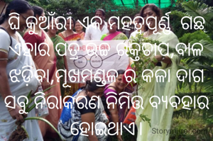 ଘି କୁଆଁରୀ ଏକ ମହତ୍ୱପୂର୍ଣ୍ଣ  ଗଛ
ଏହାର ପତ୍ର ଉଚ୍ଚ ରକ୍ତଚାପ,ବାଳ ଝଡ଼ିବା,ମୂଖମଣ୍ଡଳ ର କଳା ଦାଗ
ସବୁ ନିରାକରଣ ନିମିତ୍ତ ବ୍ୟବହାର ହୋଇଥାଏ।
