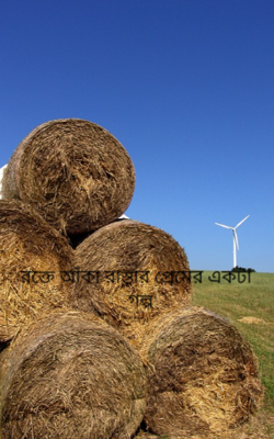 রক্তে আঁকা রাস্তার প্রেমের একটা গল্প