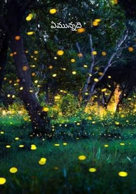 ఏమన్నది