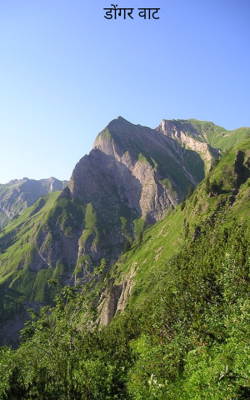 डोंगर वाट