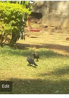 काय झालं..!