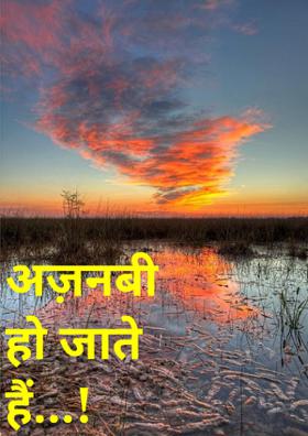 अज़नबी हो जाते हैं...!