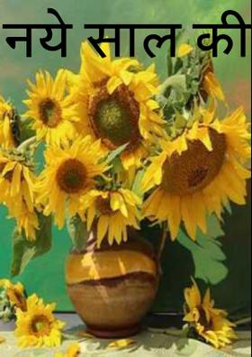 नये साल की अगवानी