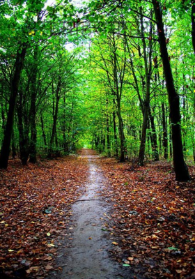 असं माहेर माहेर... 