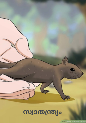 സ്വാതന്ത്ര്യം