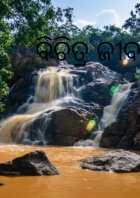 ବିଚିତ୍ର ଜୀବନ