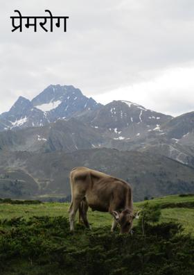 प्रेमरोग