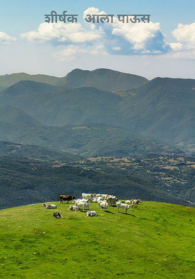 शीर्षक  आला पाऊस