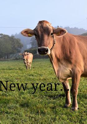 New Year