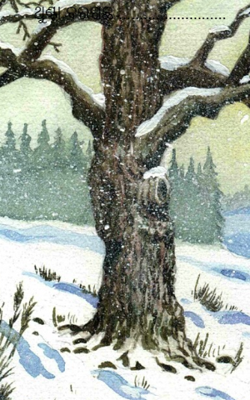 ଥୁଣ୍ଟା ବରଗଛ