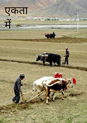 एकता में शक्ति