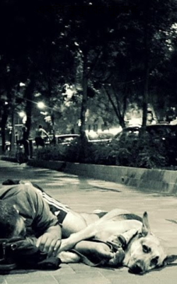 একটা কুকুরের দুঃস্বপ্ন