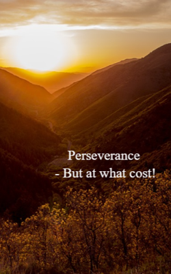 Perseverance. But At What Cost!