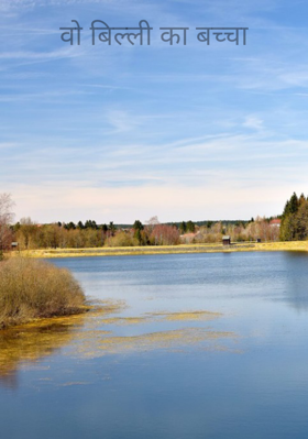 वो बिल्ली का बच्चा