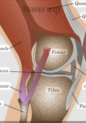 किसका कसूर 