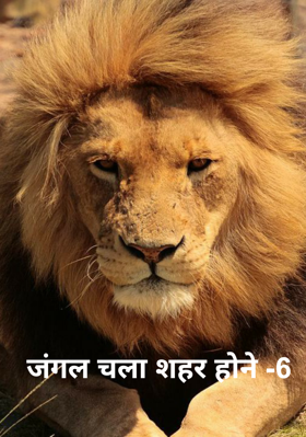 जंगल चला शहर होने -6