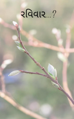 રવિવાર ?