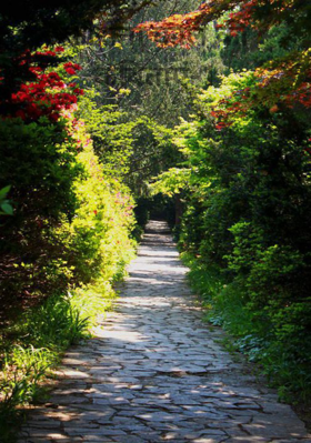 कोरोना काल की कविताएं-1