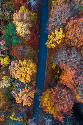 आजाद भारत