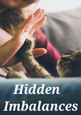 Hidden Imbalances