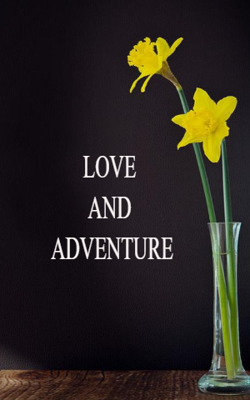 Love And Adventure