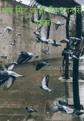 जब मिट जाती हैं पटवन से प्यास