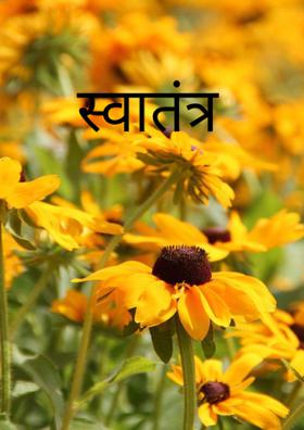 स्वातंत्र्य