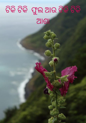 ଟିକି ଟିକି  ଫୁଲ ଆଉ ଟିକି ଟିକି ଆଶା