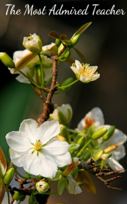 The Most Admired Teacher