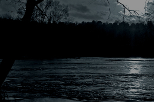 "ख़्वाब देखे भी नहीं, औऱ टूट गए। वो हम से मिले भी नहीं, औऱ बिछड़ गए।"