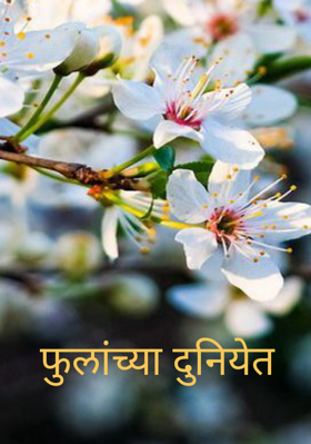 फुलांच्या दुनियेत