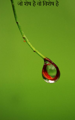 जो शेष है वो विशेष है 