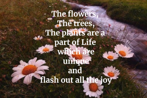The flowers, 
The trees,
The plants are a 
part of Life 
which are
 unique 
and 
flash out all the joy