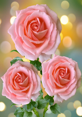 वह पुराने दिन वह सुनहरी यादे