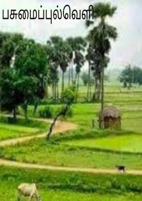 பசுமைப்புல்வெளி