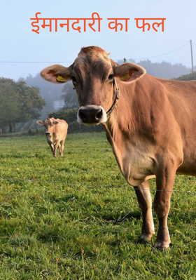 ईमानदारी का फल