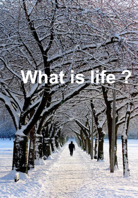 What is life ?