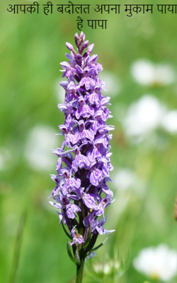 आपकी ही बदौलत अपना मुकाम पाया है पापा